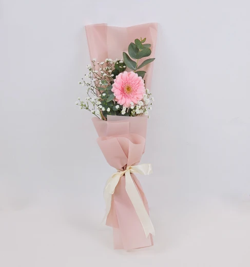 Pink Radience