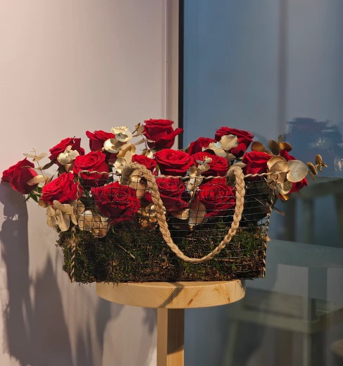 Rose 22