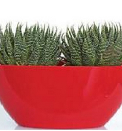 BAHIA OVAL POT 45cm