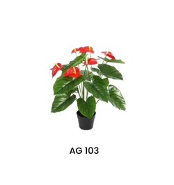 Anthurium Andr,  Red  65 cm